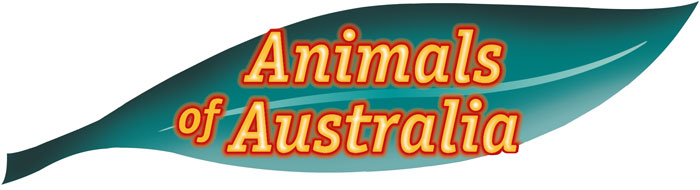 animals of Australia